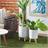 Gray Ceramic Contemporary Planter