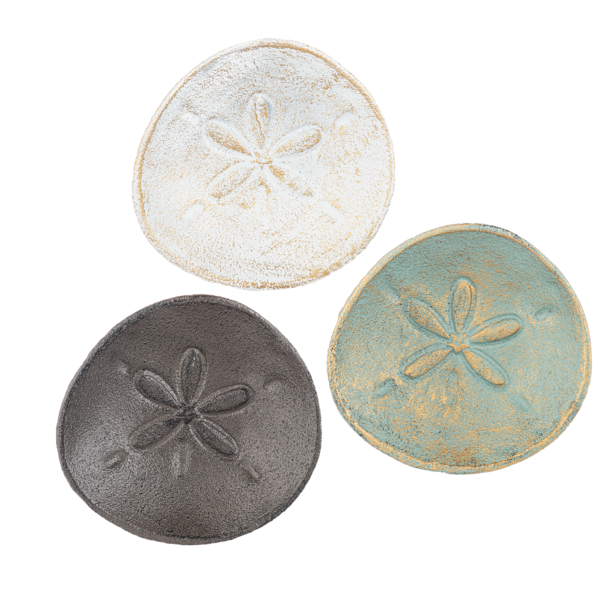 Sand Dollar Dish