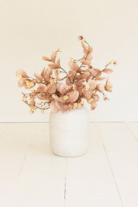 Botanica #3536