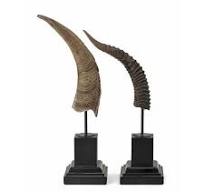 Kasmir Horn Statuary - Set of 2