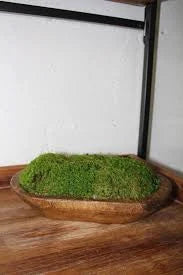 Moss Small Dough Bowl natural 19.5"x10.25"x4"