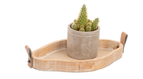 Carved Geo Tray with Leather Accent (2 pc. set)