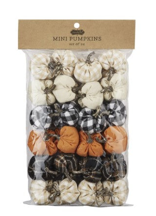Mini Pumppkins in Package