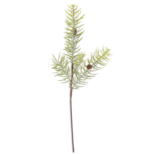 Powdered Long Pine Stem w/Mini Pinecone