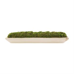 Moss Tray