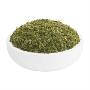 Moss Bowl