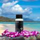Maui / Inspired by Marfa perfume