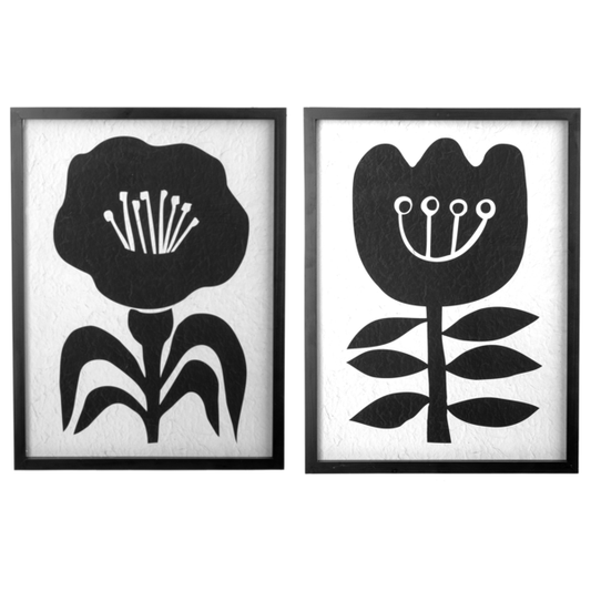 Framed Black & White Abstract Flower