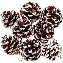 Frosted Pinecone Branch - 37" L