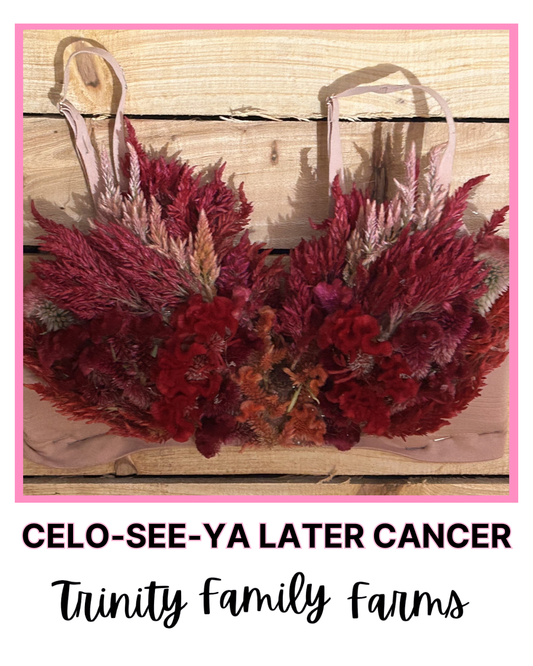 Celo-See-Ya Later Cancer