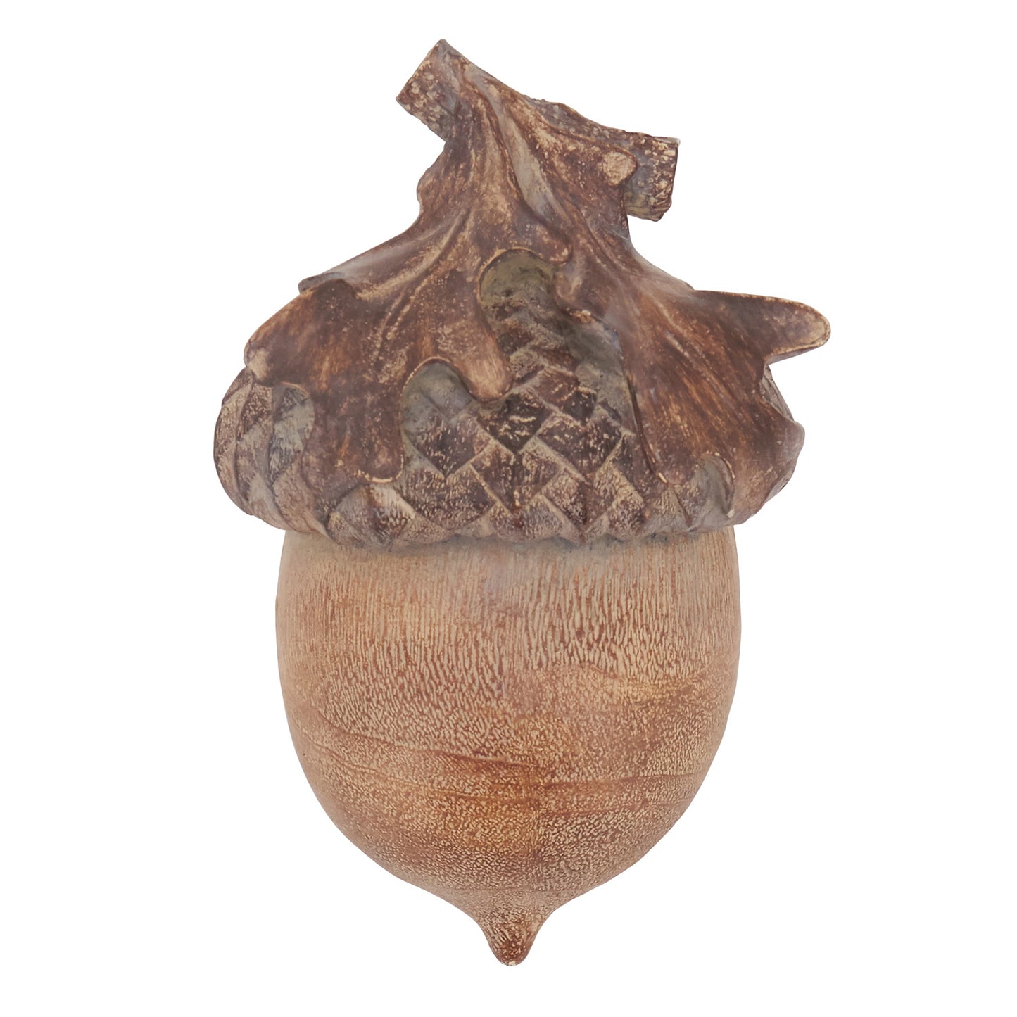 Acorn